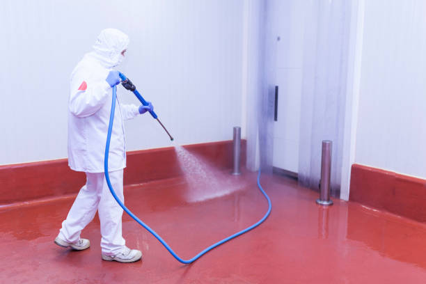 Professional Pressure Washing in Lake Landor, VA